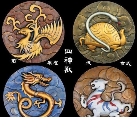 四象|四象: 青龙,白虎,朱雀,玄武